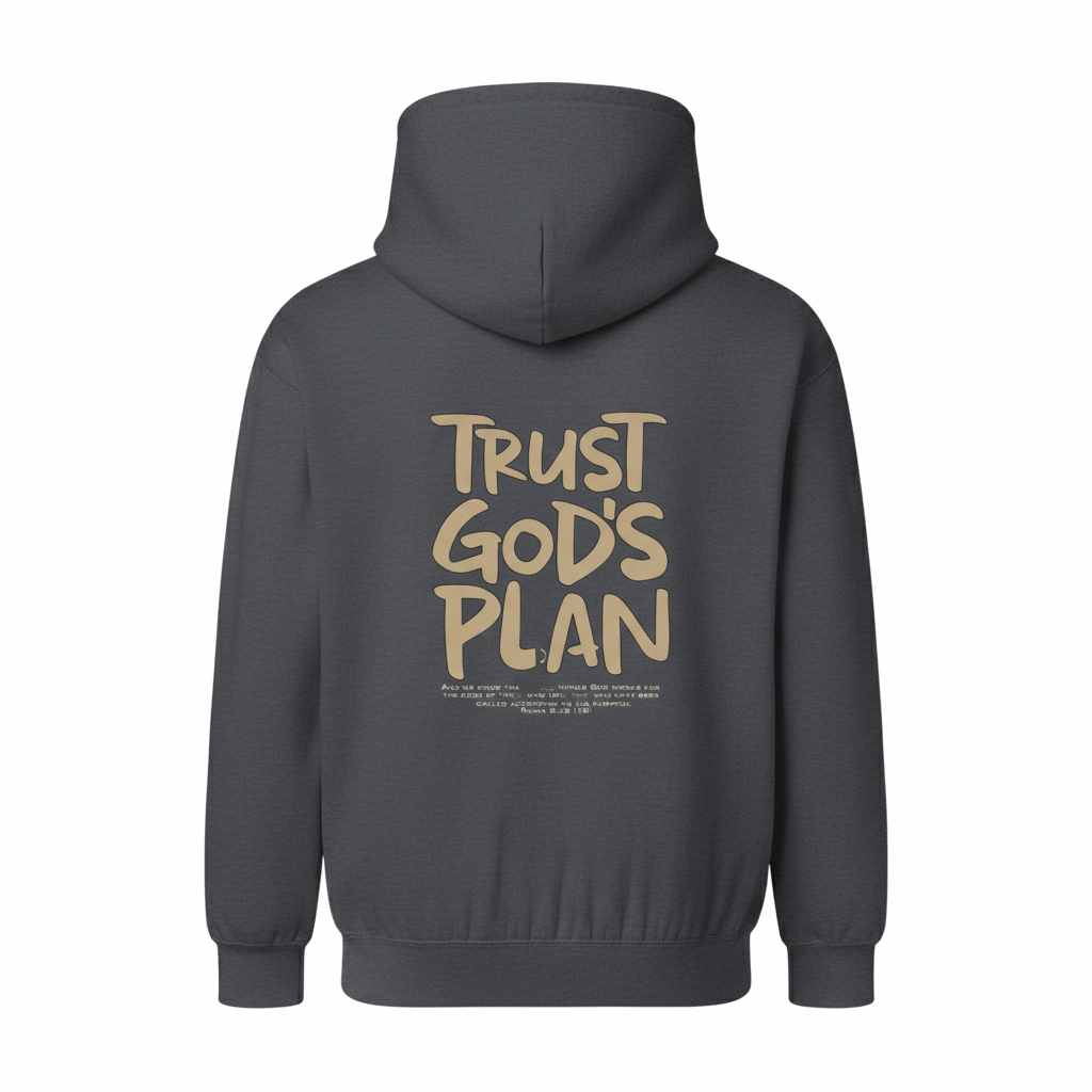 Trust God's Plan  Hoodie