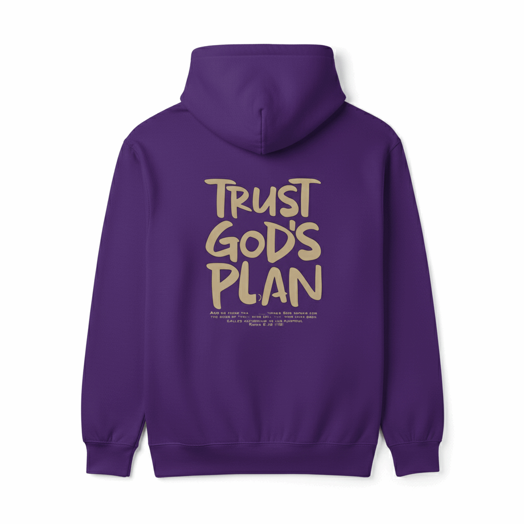 Trust God's Plan  Hoodie