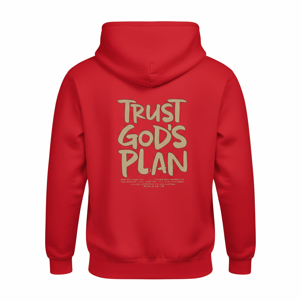 Trust God's Plan  Hoodie
