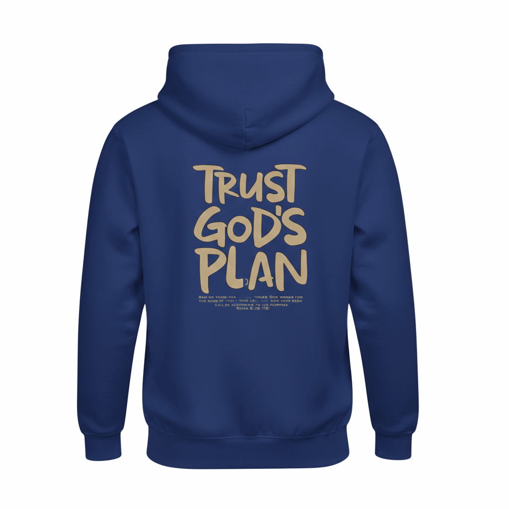 Trust God's Plan  Hoodie